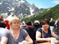 33156294 117517395795861 8565189073499586560 n