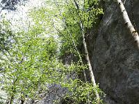 33160534 117517269129207 1839317352215216128 n